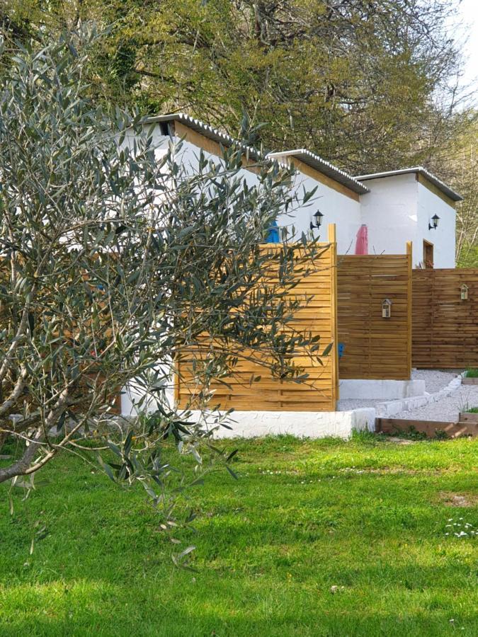 Domaine Mon Doux Reve Bed and Breakfast Terrasson Exteriör bild